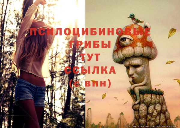прущие грибы Алексеевка