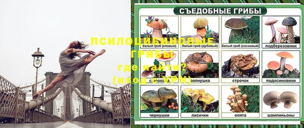 скорость Алексин