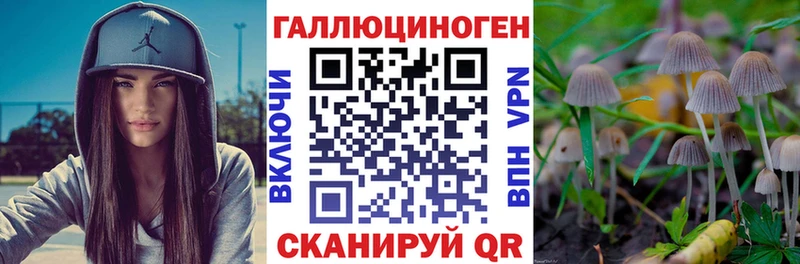 Псилоцибиновые грибы MAGIC MUSHROOMS  цена   Лобня 