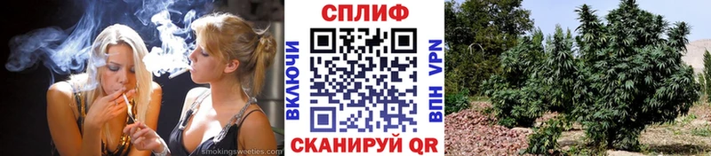 Марихуана семена  даркнет сайт  Лобня 